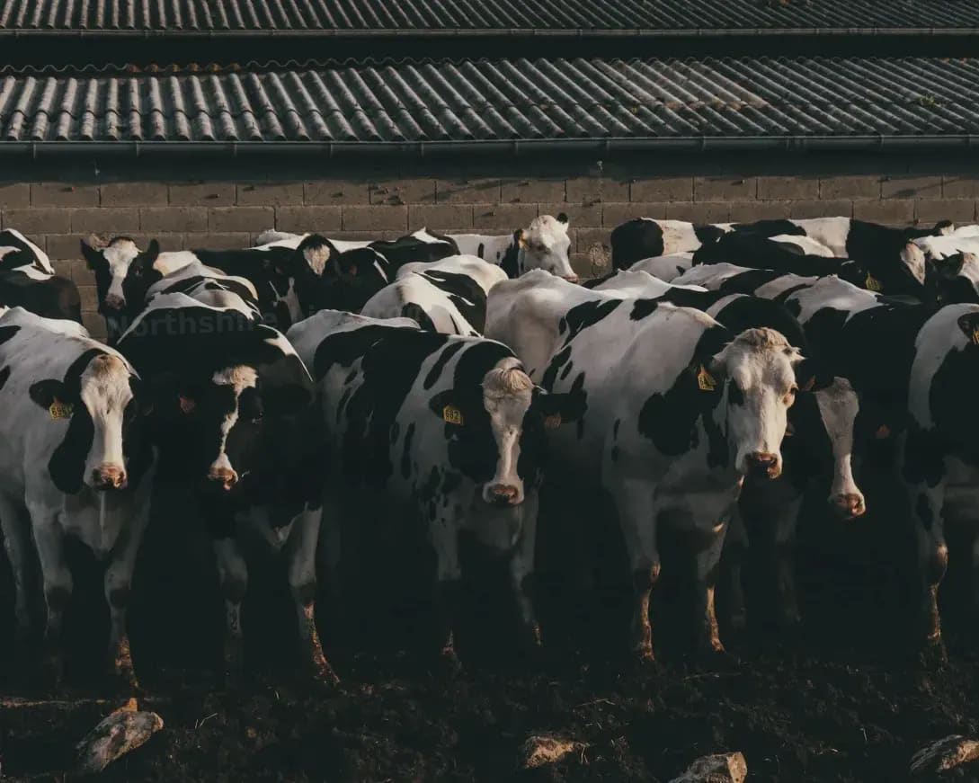 Why Good Records Still Matter on a Busy Farm